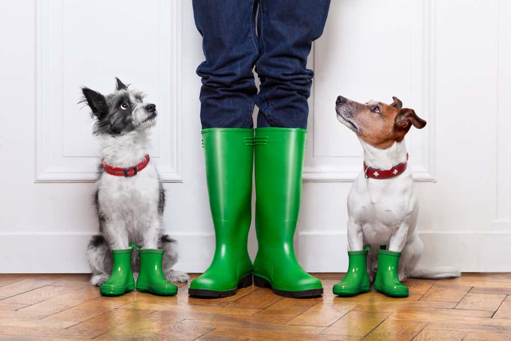 What Type of Boots Help Minimize Human Scent